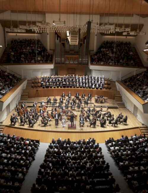 restaurante para cenar cerca del Palau de la Música de Valencia - escenario